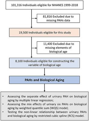 Association between single and mixed exposure to polycyclic aromatic hydrocarbons and <mark class="highlighted">biological aging</mark>
